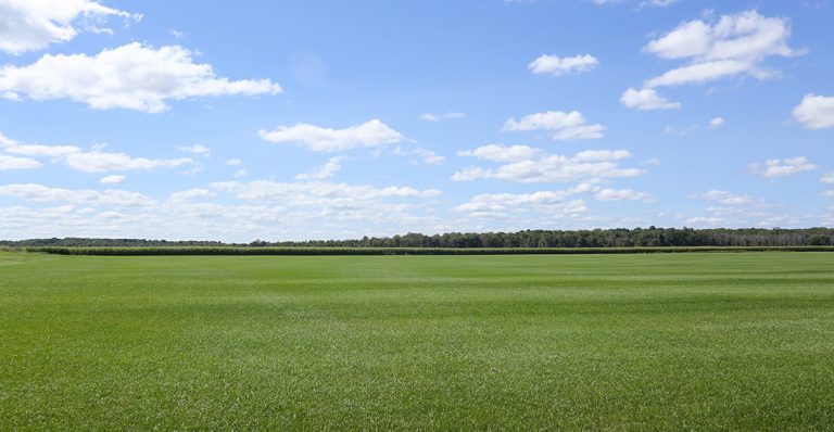 Home - Kempley Sod Farm